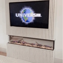Ezee Glow 50'' Celestial Built-In Media Wall Electric Fire(Ezee Glow 50 Celestial Built In Electric Fire) -Cheap Arizona Shop vlcsnap 2023 12 13 10h15m32s307